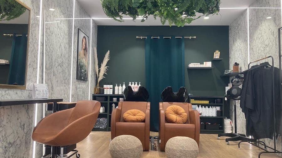 Photo de Ardeco _ Salon de coiffure_ Cheveux texturés_ Expert Balayages